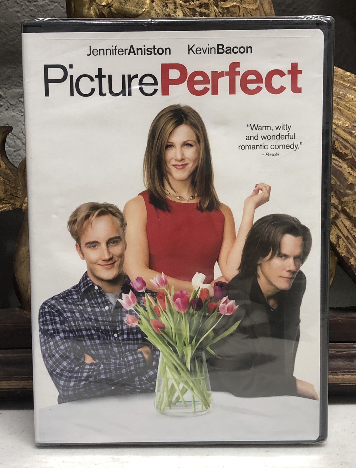 Picture Perfect (DVD, 2009, Widescreen) Sealed