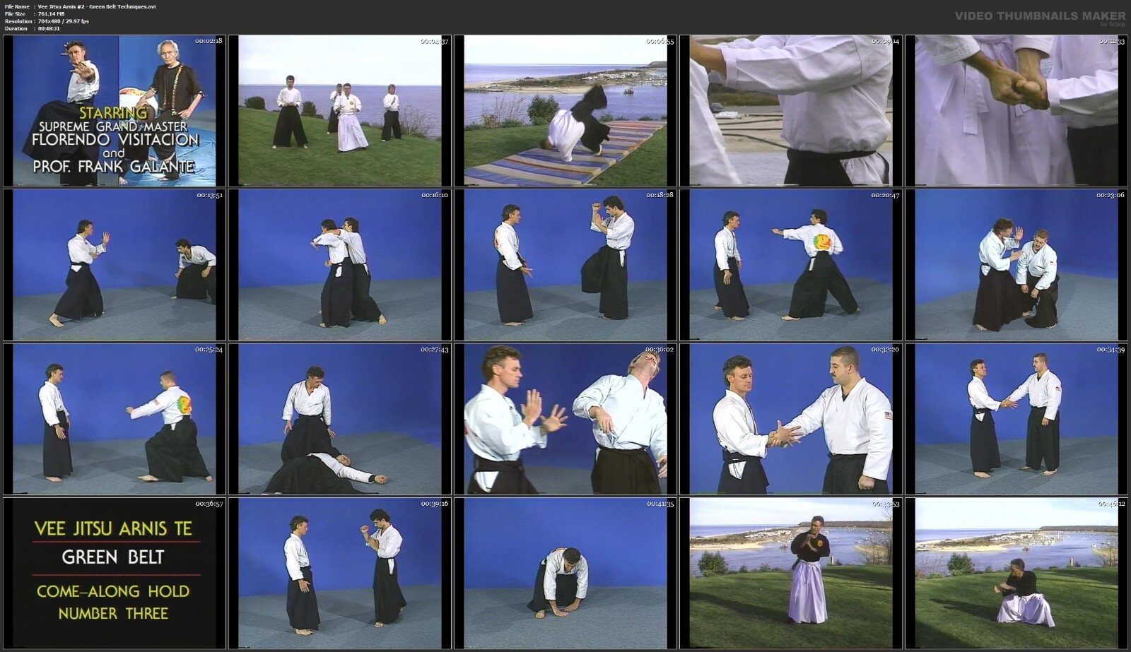 Vee Jitsu Arnis Te starring Florendo Visitacion & Frank Gallante (10 DVD Set)