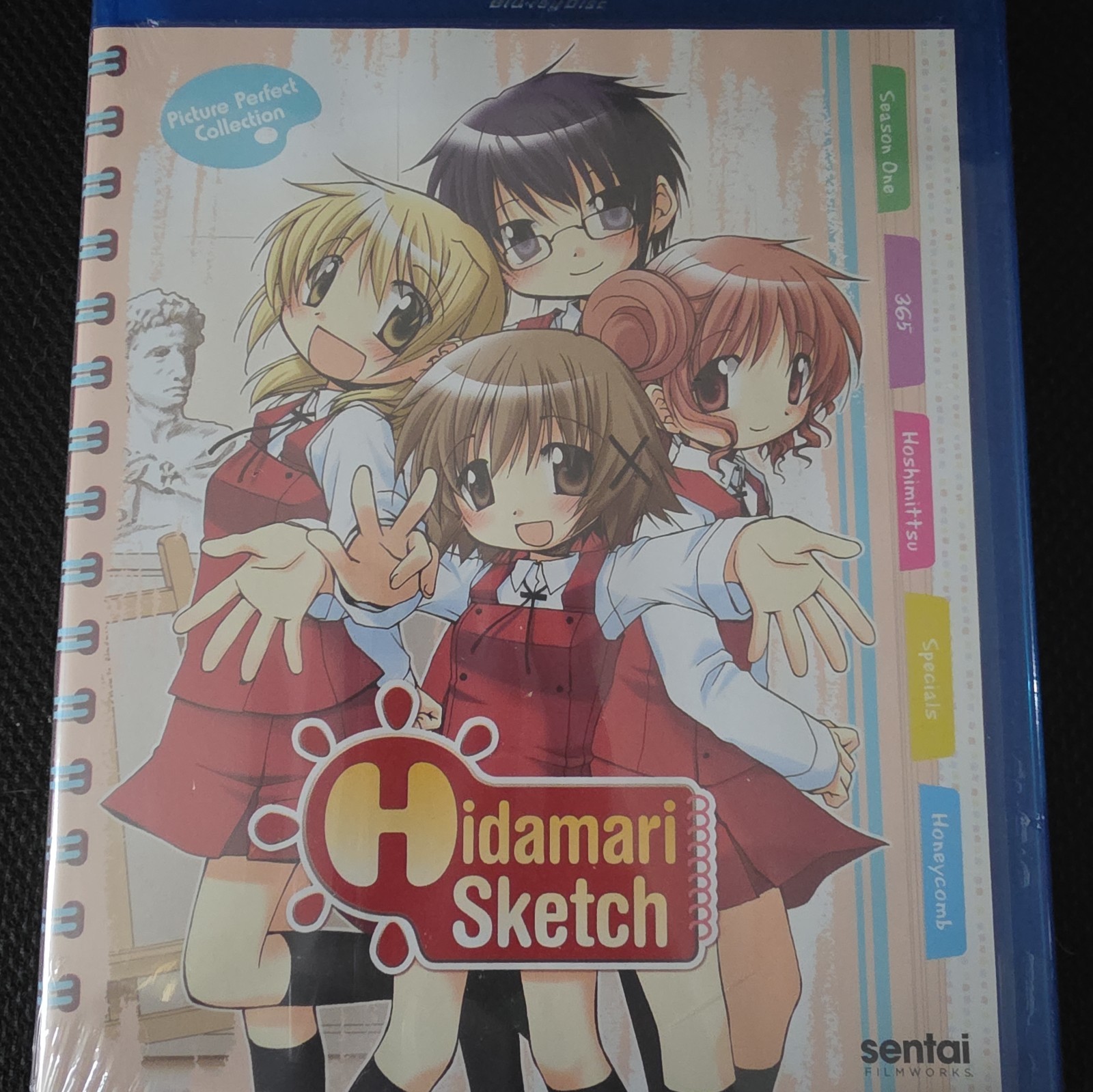 Hidamari Sketch: Picture Perfect Collection Blu-ray Anime 9-Disc Set New Sealed