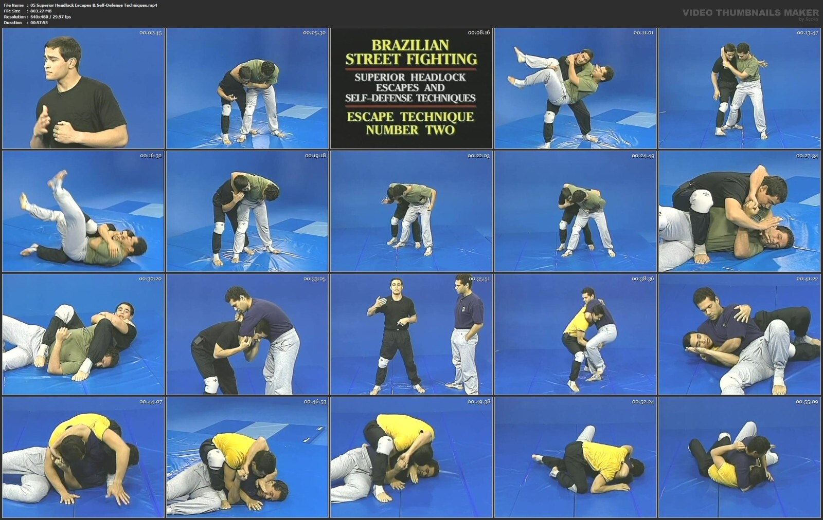 Brazilian Street Fighting Self Defense starring Kazeka Muniz (9 DVD Set)