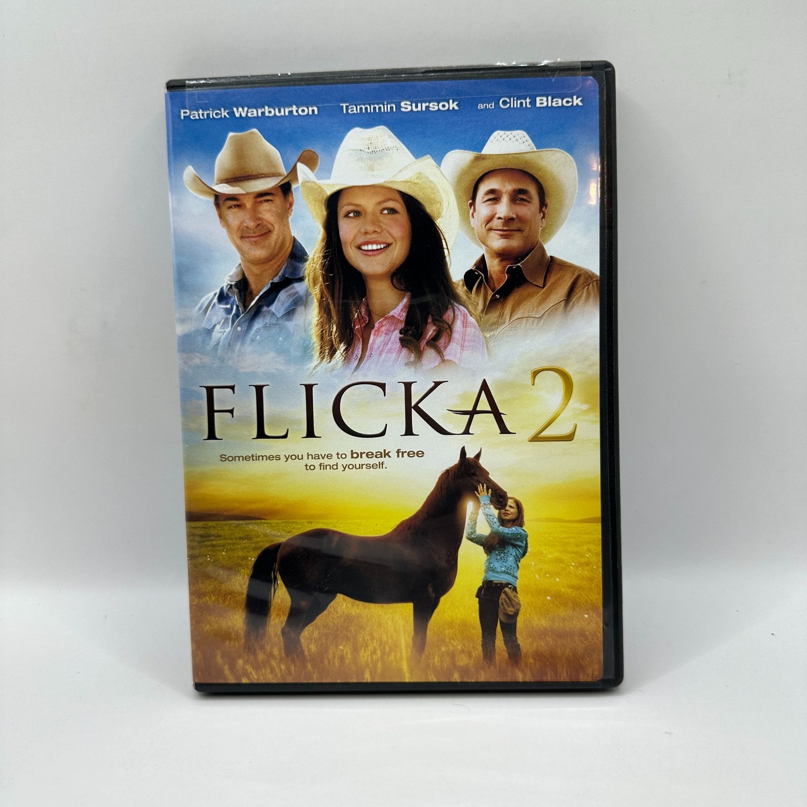 Flicka 2 2010 DVD Patrick Warburton Tammin Sursok 20th Century Studios English